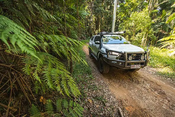 Conondale National Park