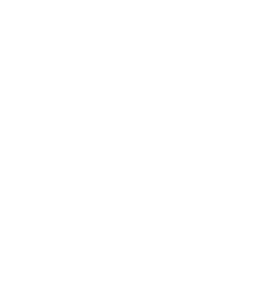 icon---rr-customisable-garnish-white