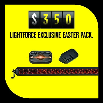 Spring_into_Easter_-_Web_assets_-_30